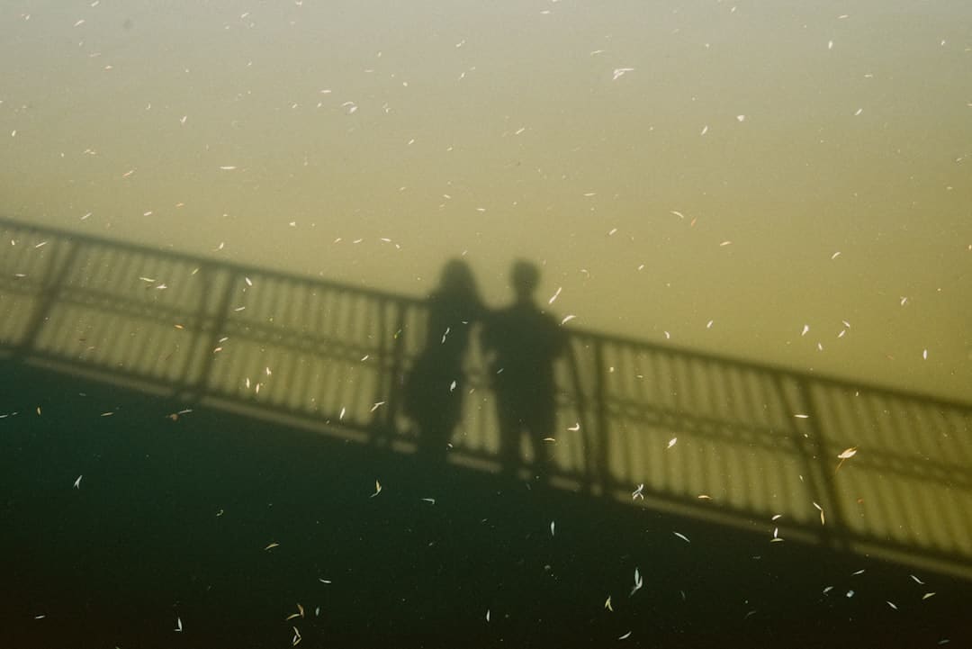 成都暴雨 强降雨伴有大风来袭